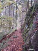 Les rochers demeurent présents